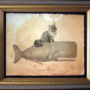 Cat Riding Whale Maine Coon Cat Riding Whale Vintage Collage Print Tea Stained Paper cat art cat  for her cat  for him cat lover