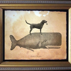 Black Labrador Retriever Lab Riding Whale Vintage Collage Print Tea Stained Paper dog art dog dad  for her pet   WFH office art