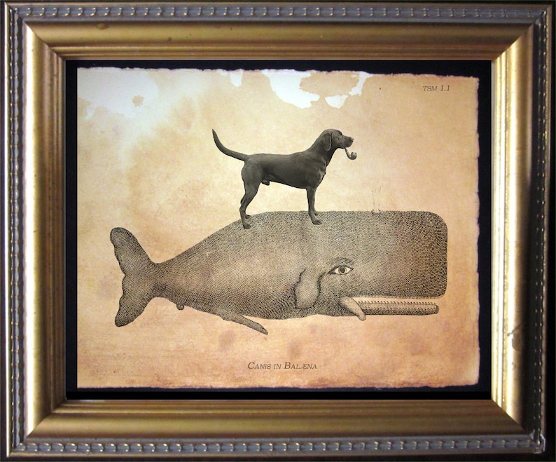 Black Labrador Retriever Lab Riding Whale Vintage Collage Print Tea Stained Paper dog art dog dad for her pet WFH office art