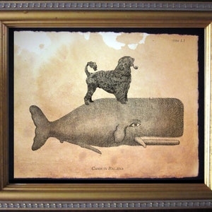 Portuguese Water Dog Riding Whale  Vintage Collage Art Print on Tea Stained Paper dog art dog    for her xmas  for momWFH office art