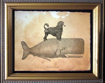 Portuguese Water Dog Riding Whale  Vintage Collage Art Print on Tea Stained Paper dog art dog    for her xmas  for momWFH office art