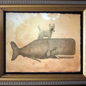 Westie West Highland Terrier Dog Riding Whale Vintage Collage Print Tea Stained dog art dog patronus for her office art dog loss gift