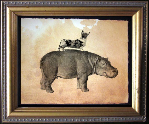 Cardigan Welsh Corgi Dog Riding Hippo  Vintage Collage Art Print on Tea Stained Paper        xmas  for momWFH office artdog christmas gift
