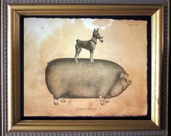 May include: A black and white illustration of a dog standing on top of a pig. The dog is wearing a collar and has a pipe in its mouth. The text "Canis in Porcus" is written below the image.