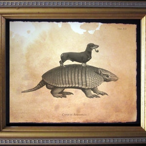 Black Dachshund Wiener Dog Riding Armadillo Vintage Collage Print Tea Stained Paper dog art dog gift for dog mom dog christmas gift for loss