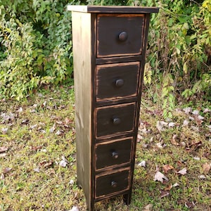 May include: A tall, narrow wooden cabinet with five drawers. The cabinet is painted black with distressed edges, and each drawer has a round, dark knob. The cabinet is set on a grassy surface with a backdrop of green foliage.