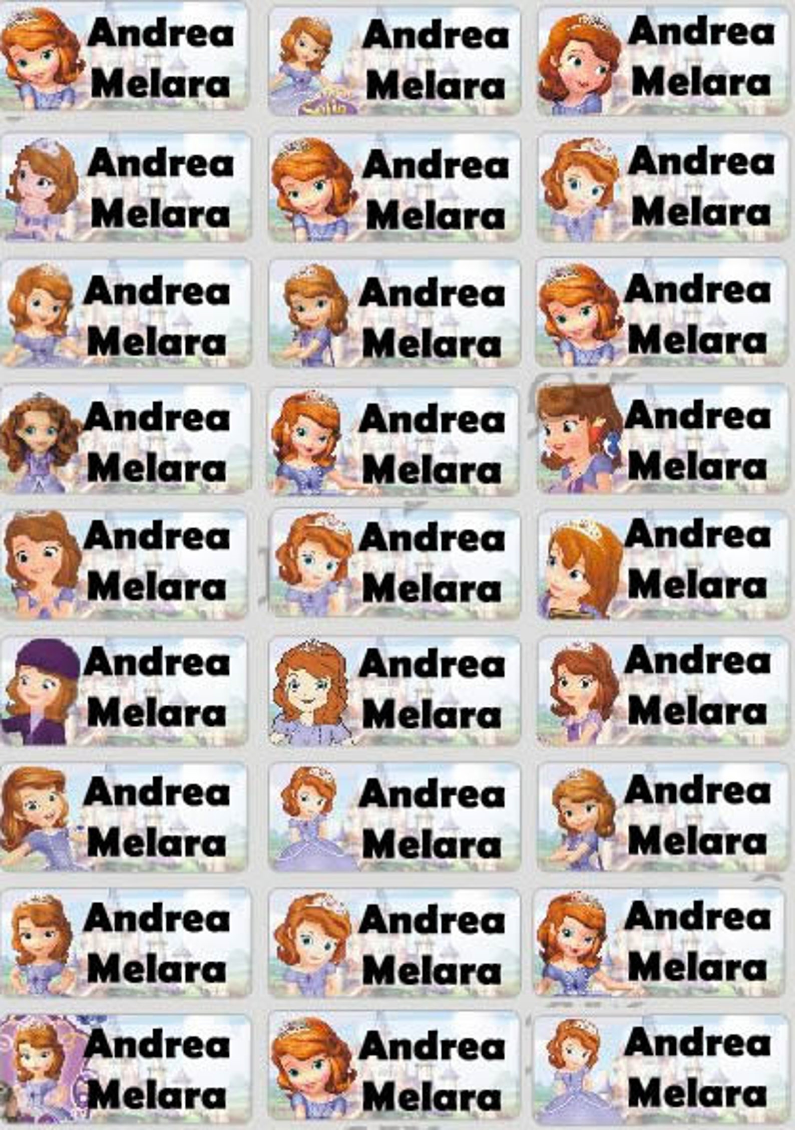 SOFIA THE FIRST Name Label School Label Waterproof Label Etsy