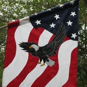 Aigle étoilé