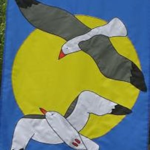 Mouettes au soleil