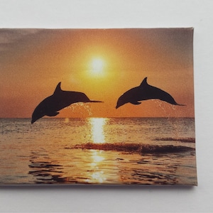 Handgemachte Miniatur Puppen Haus Zubehör Leinwand Stil Wand Kunst Bild Delphine