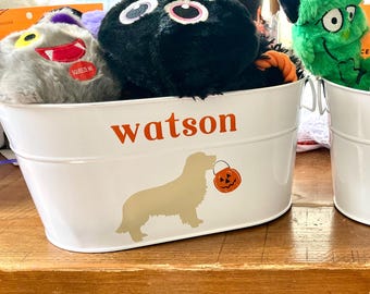 HALLOWEEN pet treats bucket