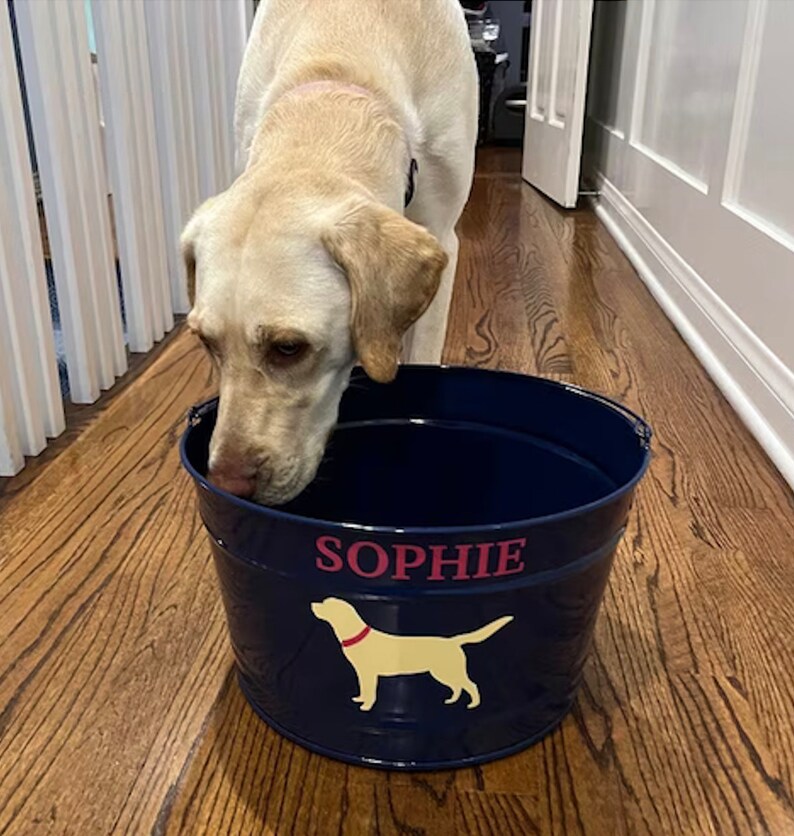 May include: A blue metal dog bowl with the name "Sophie" printed in red and a yellow silhouette of a dog. A yellow Labrador Retriever is sniffing the bowl.