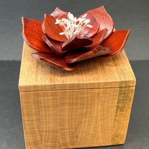 Beautiful Okoumbe Wood Jewlery Box with Magnolia  Flower Box 1150