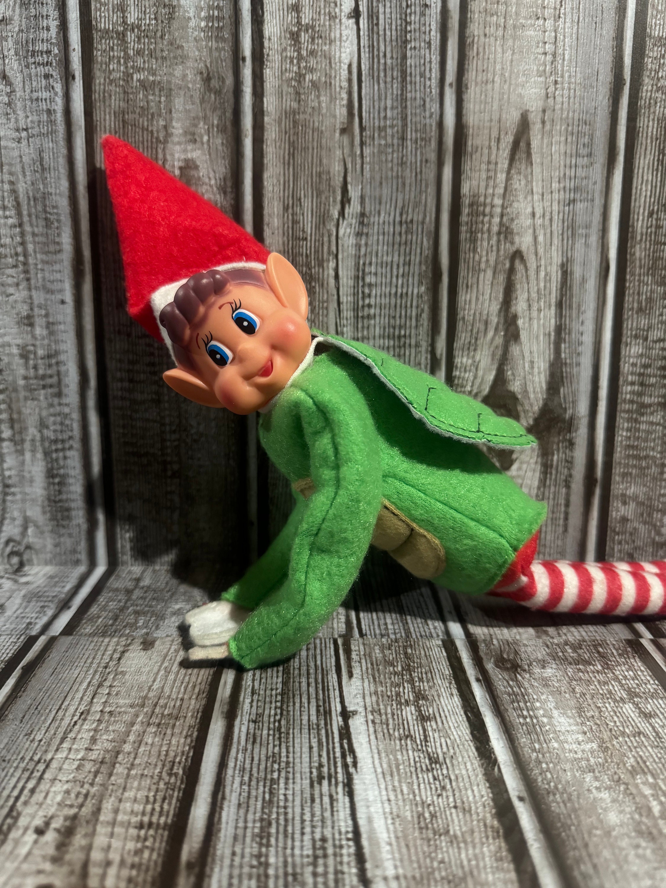 Turtle Elf Costume, Turtle Outfit for Elf, for Christmas, Turtle Shell ...