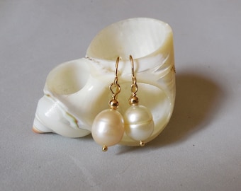 Earrings in 14k Gold Filled with freshwater oblong white Pearl