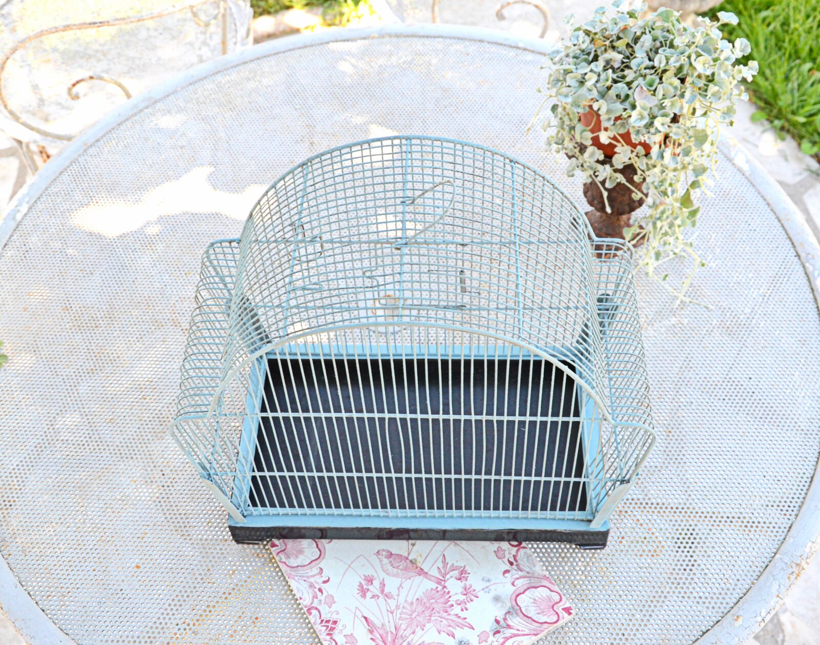 Adorable Cage à Oiseaux Vintage 1950 Décoration Jardin