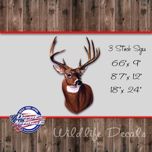Whitetail Buck Head Shoulder Mount style vinyl decal deer vehicle window sticker wildlife