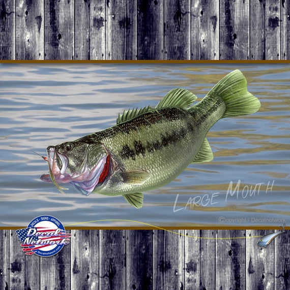 Full Color Large Mouth Bass Vinyl Decal Multiple Sizes for Truck