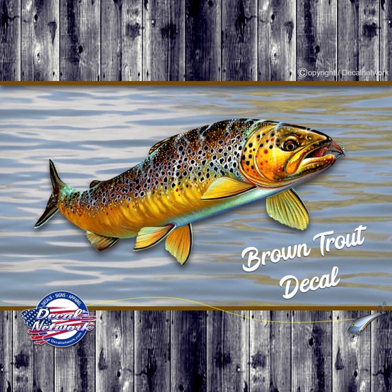 Brown Trout Fish Fishing Vinyl Decal 4