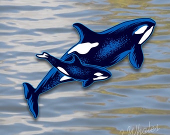 Two Whales vinyl decal full color 9"x 10" truck car suv window sticker