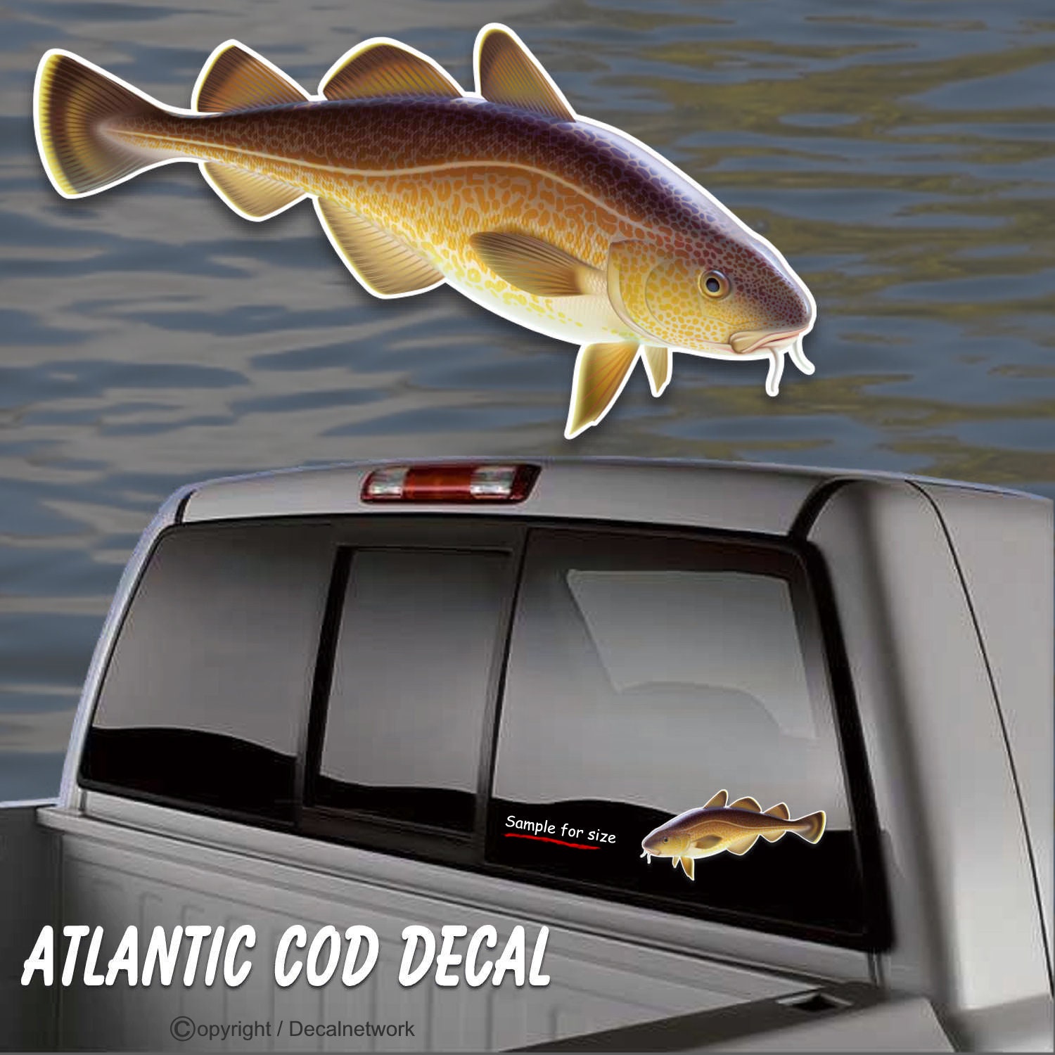 Atlantic COD fish fishing vinyl decal 4.8x 9 truck | Etsy