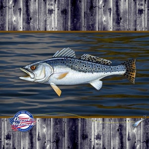 Speckled Sea Trout fish fishing vinyl decal 4.2&quot;&quot;x 10&quot; truck car suv window sticker