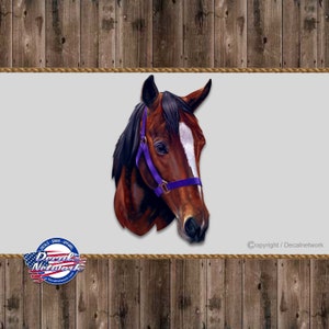 Full color horse vinyl decal, Country Ranch, window stickers for car, truck, SUV, trailers, western