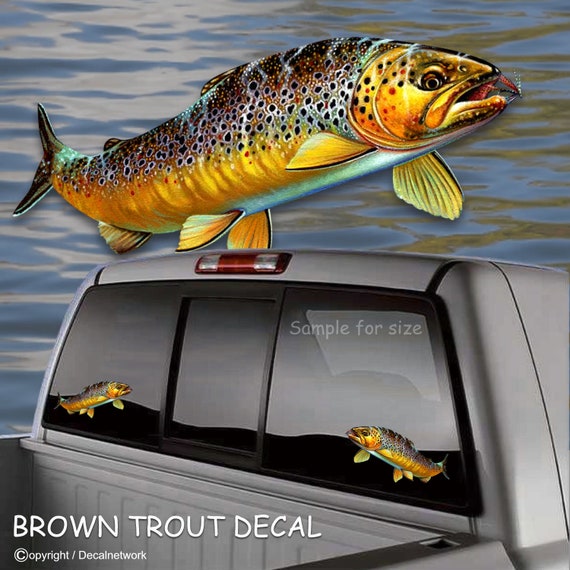 Brown Trout fish fishing vinyl decal 4x 8.5 truck car suv window sticker