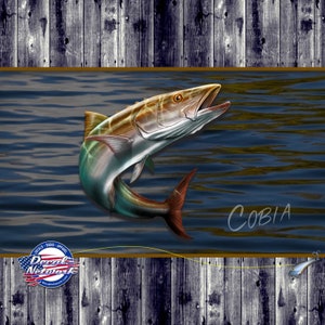 Cobia vinyl decal car sticker fish graphic 7&quot;x 7&quot; fishing truck car suv window sticker