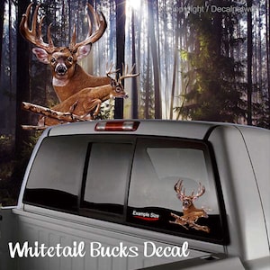 Whitetail Deer Buck Vinyl Decal Vehicle Window Sticker Hunter Wildlife ...