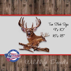 Whitetail Deer Buck vinyl decal vehicle window sticker hunter wildlife