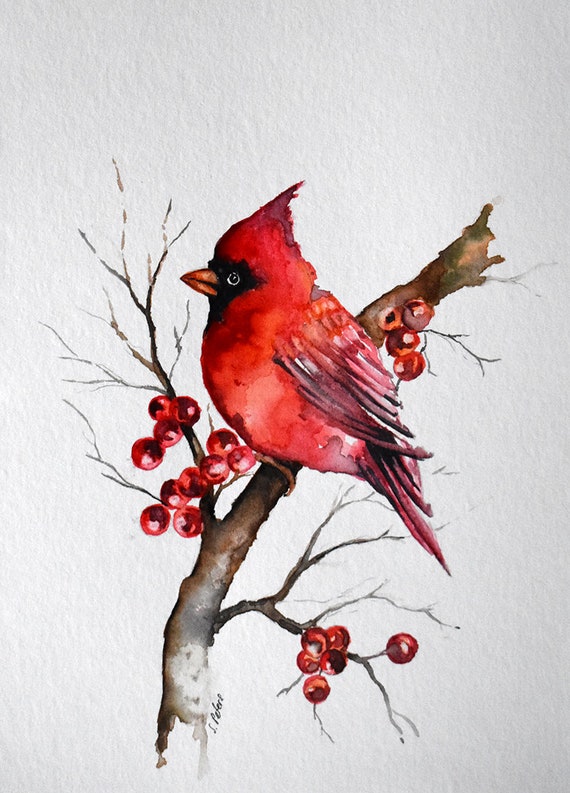 Watercolor Bird Painting Red Cardinal American State Bird | Etsy