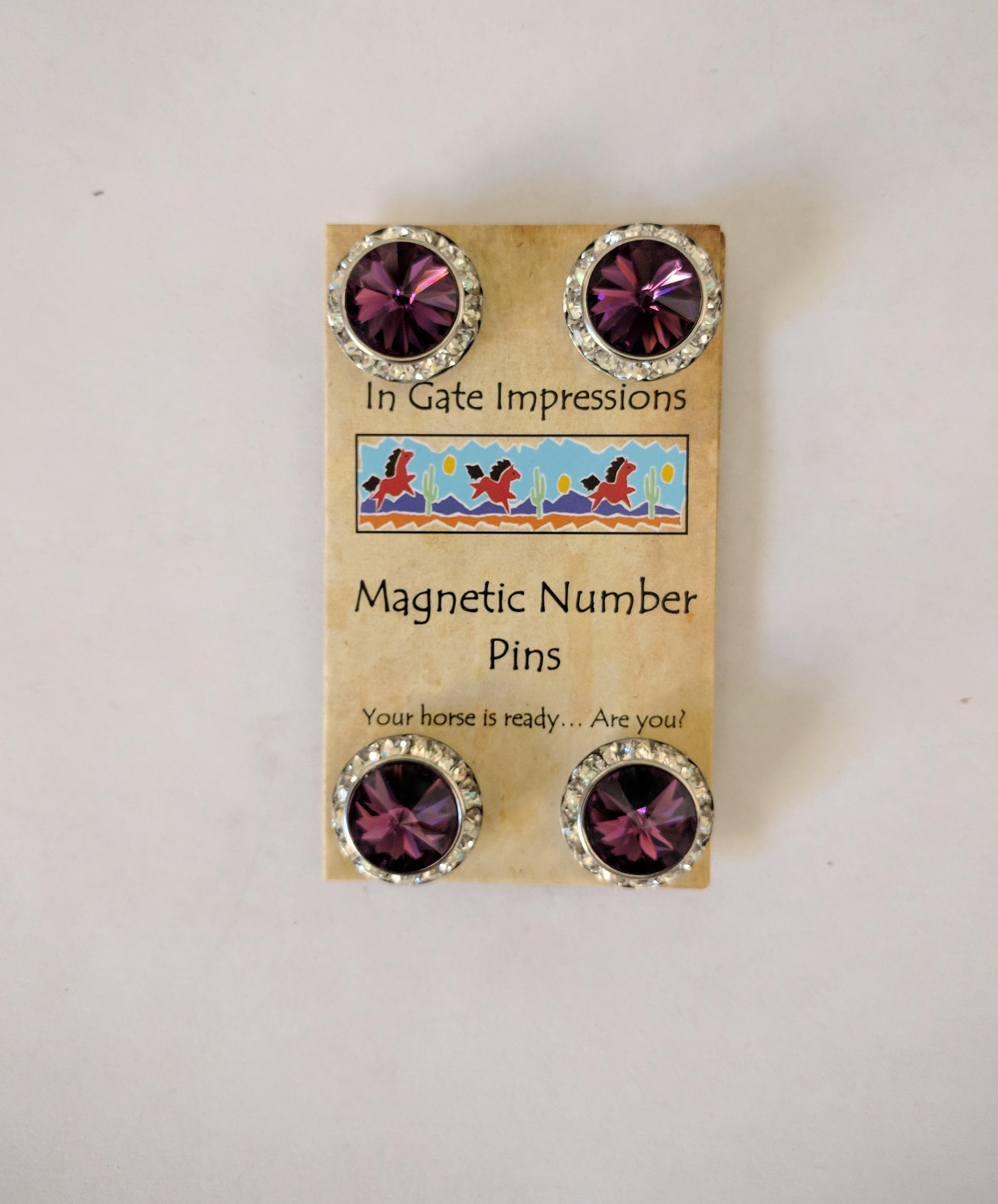 JUMBO AMYTHEST Magnetic Number Pins Horse Show Number Magnet Rivoli ...
