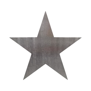 May include: A silver metal star with a textured surface.