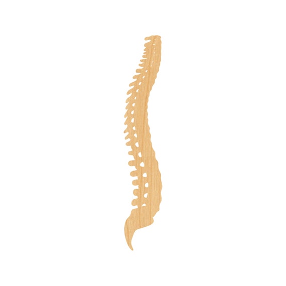 Witch - Laser Cut Out Unfinished Wood Craft Shape FAL182 Witch - Laser Cut Out Unfinished Wood Craft Shape FAL182