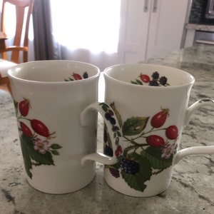Vintage Roy Kirkham Summer Fruits 1991 Fine Bone China Coffee Cups Set of Two
