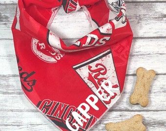 cincinnati reds dog jersey