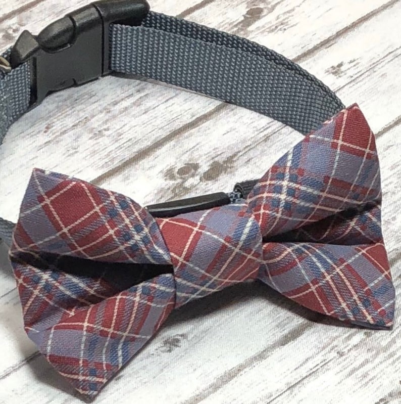 Dog Bow Tie Diamonds Teal Green Beige Collar Bow Tie Cat Etsy