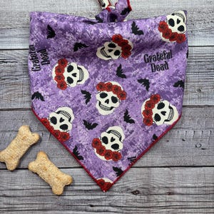 Grateful Dead Dog Bandana, Deadhead Dog Bandana, Tie-On Bandana, Personalized Bandana, Jerry Garcia Fan, BizzyMamas