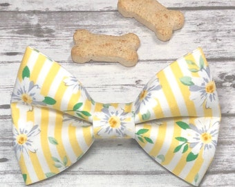 Dog Bow Tie, Daisy, Yellow, Striped, Collar Bow Tie, Cat Bow Tie, Puppy Bow
