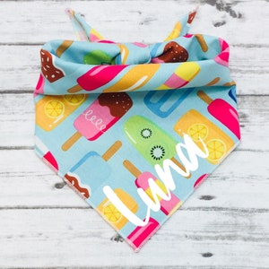 Popsicle Dog Bandana, Tie-On Bandana, Personalized Bandana, Summer Dog Bandana, Spring Dog Bandana, BizzyMamas