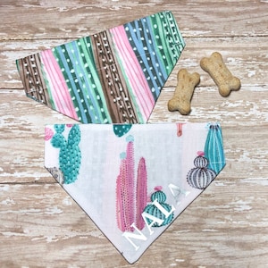 Girl Female Dog Bandana, Personalized, FREE SHIPPING, Reversible, Cactus, Pink, Slide On Collar, XSmall, Small, Medium, Large, XL, 2XL