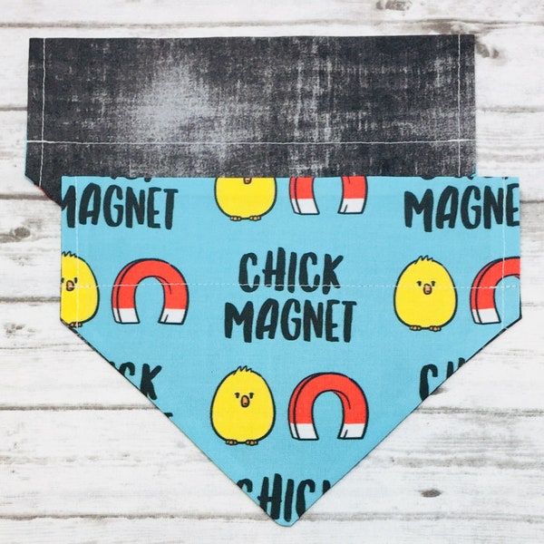 Easter Dog Bandana, Chick Magnet, Reversible, Slide On Collar, Personalized Option, Boy Easter Dog Bandana, Male Easter Dog Bandana, Chick