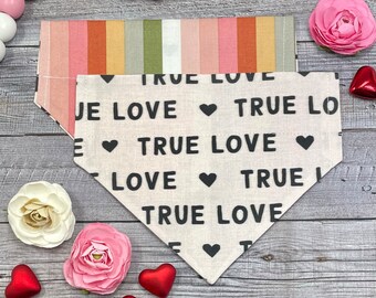 True Love Valentine's Day Dog Bandana, Reversible, Slide On Collar, Personalized Option, Rainbow, Male Female Dog Bandana