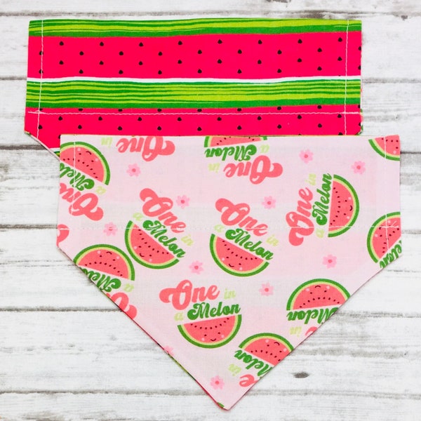 Watermelon Dog Bandana, One In A Melon, Reversible, Over the Collar, Personalized, Summer Dog Bandana, Fruit Dog Bandana, by BizzyMamas