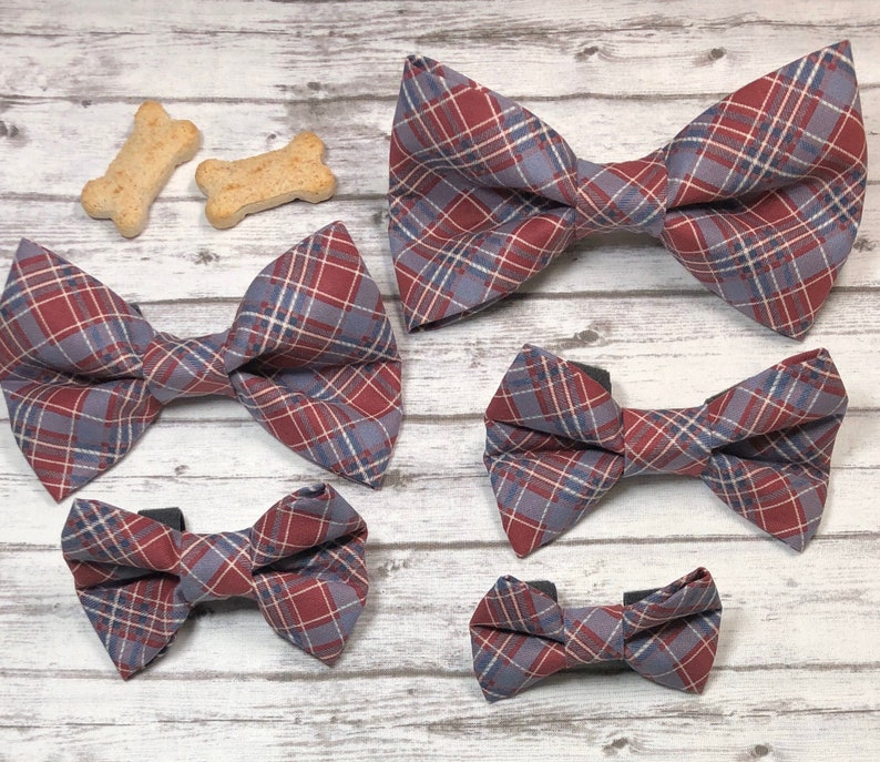 Dog Bow Tie Diamonds Teal Green Beige Collar Bow Tie Cat Etsy