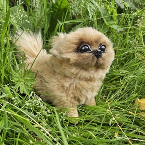 May include: A small, plush toy dog with light tan, fluffy fur, a short snout, and large, dark, glossy eyes. The toy has a pointed tail and a soft, textured appearance, designed to resemble a small breed of dog with a flat face and thick coat.