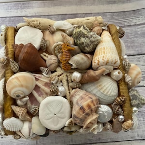 May include: A rectangular box decorated with a variety of seashells, including conch shells, scallops, and sand dollars. The box is adorned with an orange seahorse, pearls, and pieces of driftwood. The shells are in shades of white, brown, and tan.