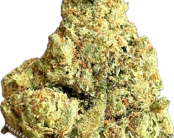 Adesivo Gooberries Buds Motor Breath