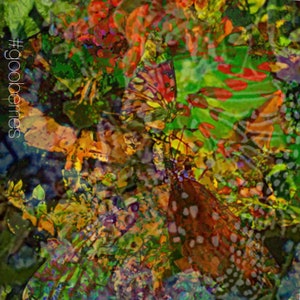 Butterflies Sticker